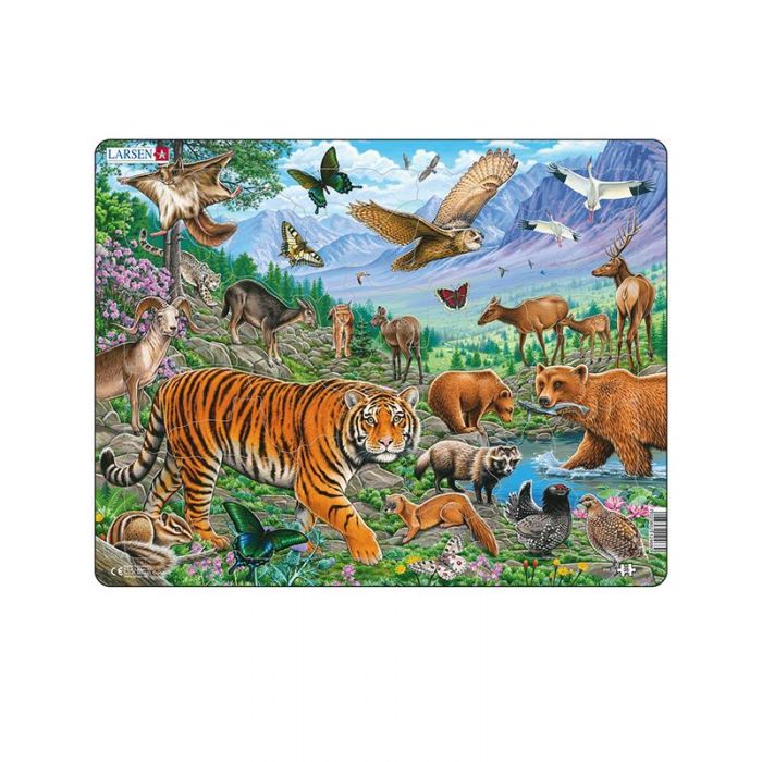 Puzzle maxi Tigrul Amur in Siberia vara, orientare tip vedere, 36 de piese, Larsen KDGLS-FH39