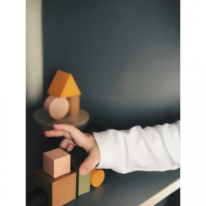 Jucarie din lemn - Echilibru cu blocuri