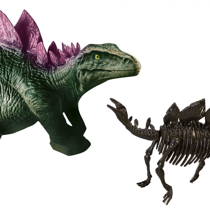 Set creativ Dino si excavarea scheletului 2 in 1 - Stegozaur