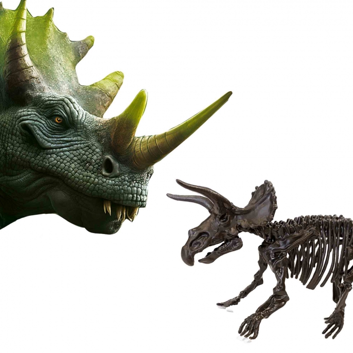 Set creativ Dino si excavarea scheletului 2 in 1 - Triceratops